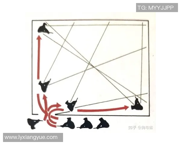 西安羽毛球队整体压制战术解析与实战应用探讨