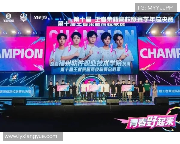 高校联赛特别报道：WE战队的成长历程与辉煌成就回顾