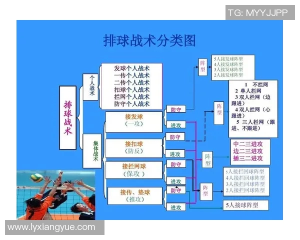 上海排球队的战术控制解析与未来发展展望